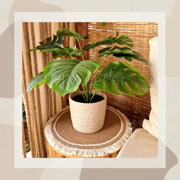 Set Pot and plant spp35