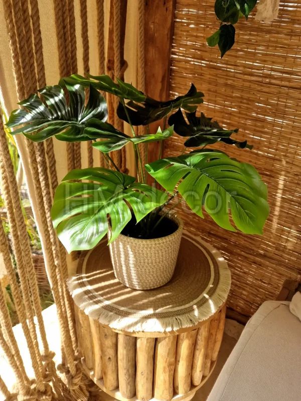 Set Pot and plant spp35