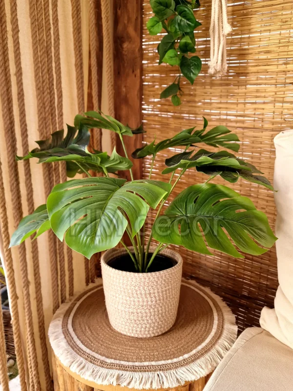 Set Pot and plant spp35