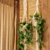 wall hang shape 74 macrame hanging with pot&plant 9