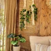 wall hang shape 75 macrame hanging with pot&plant 9