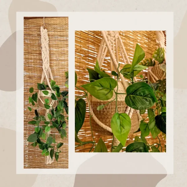 macrame hanging with pot&plant 10