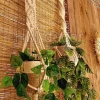 macrame hanging with pot&plant 10
