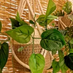 macrame hanging with pot&plant 10