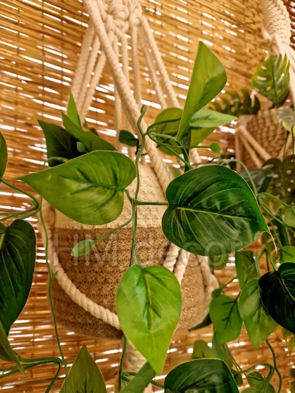 macrame hanging with pot&plant 10
