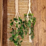 macrame hanging with pot&plant 10