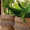 pot a plant 338 Basket shape15