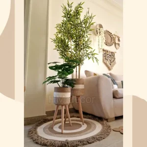 Pot and plant shape39