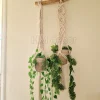 macrame hanging with pot&plant12