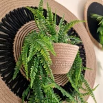 wall decorations #10039