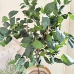 Ficus tree & palm tree Pot and plant