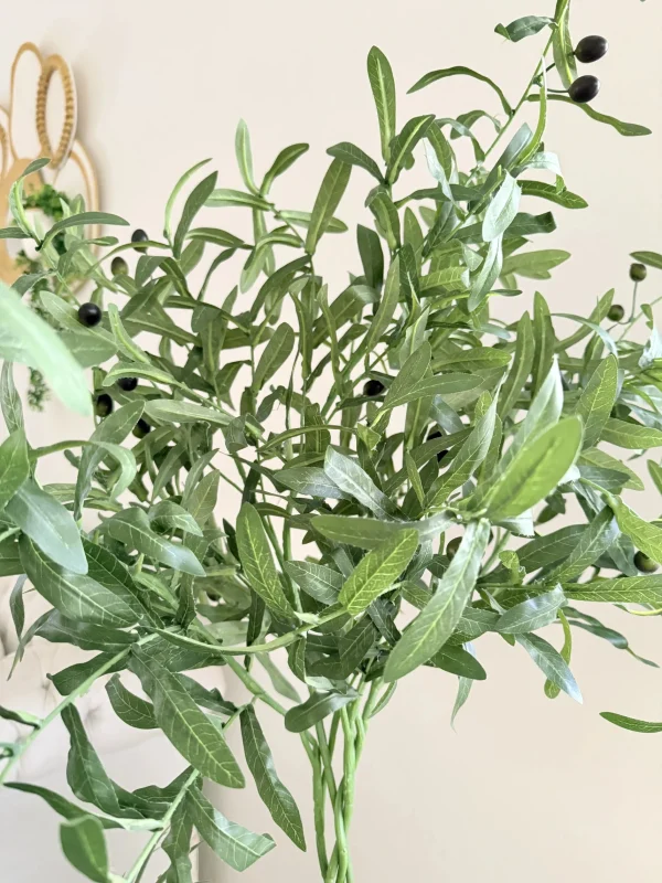 Olive tree & palm tree Pot and plant