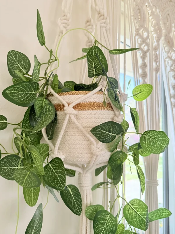IMG_3456 Royal macrame hanging with pot&plant