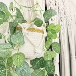 Royal macrame hanging with pot&plant