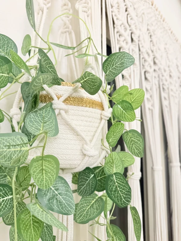 IMG_3585 Royal macrame hanging with pot&plant