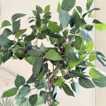 Ficus tree & palm tree Pot and plant