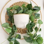 Naseem wall decor #10042