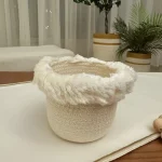 Naseem small pot & plant