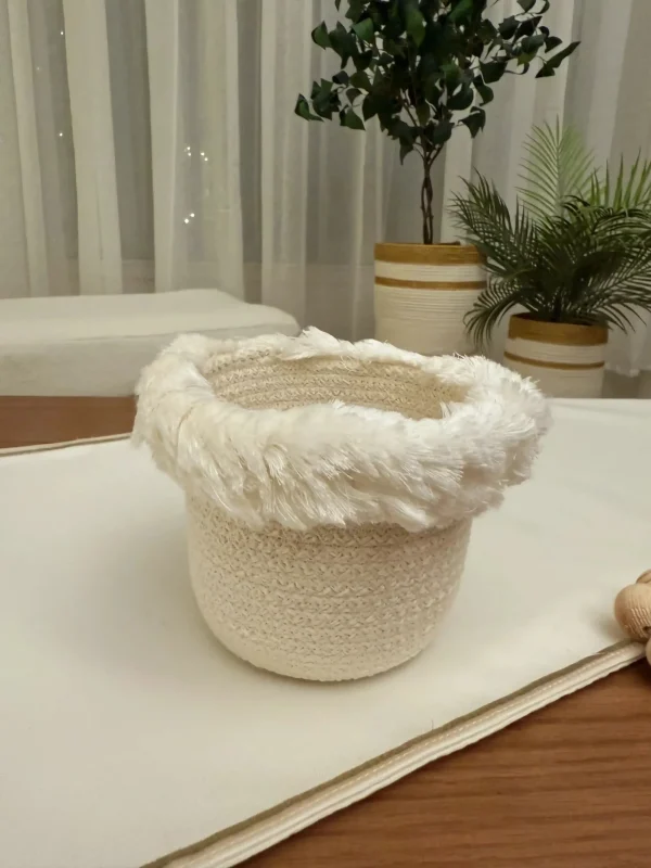 Naseem small pot & plant