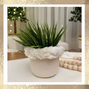 Naseem small pot & plant