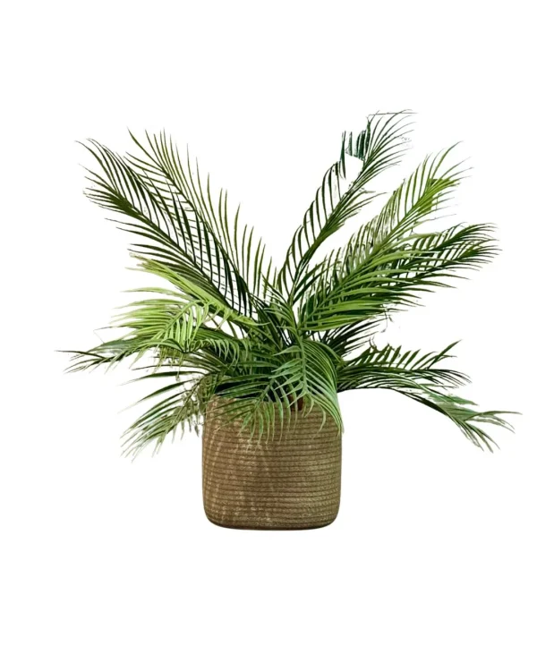 Bathroom accessories Set #30035