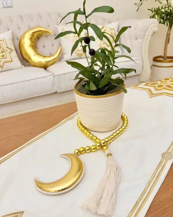 Olive plant with pot