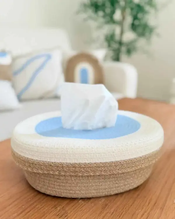 18 Tissue case shape7