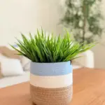 Tissue case shape7