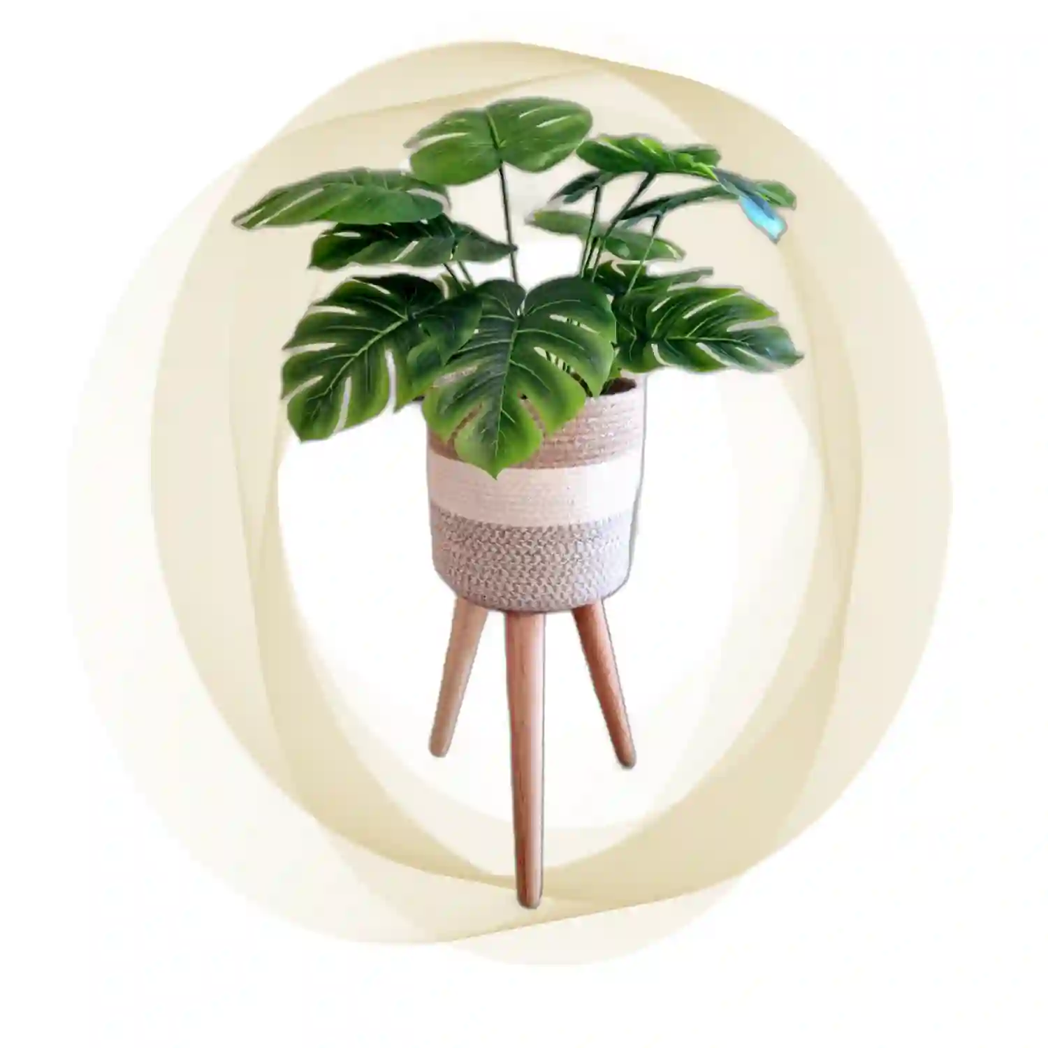 poster_2024-02-18-092556 Artificial plants shape1